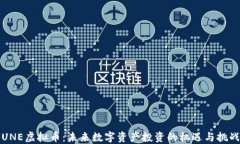 UNE虚拟币：未来数字资产投资的机遇与挑战