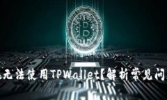 : 为什么现在无法使用TPWallet？解析常见问题及解