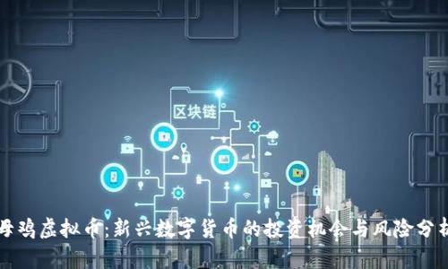 母鸡虚拟币：新兴数字货币的投资机会与风险分析