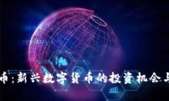 母鸡虚拟币：新兴数字货币的投资机会与风险分