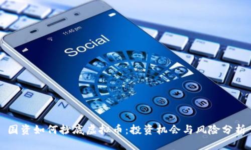 国资如何抄底虚拟币：投资机会与风险分析
