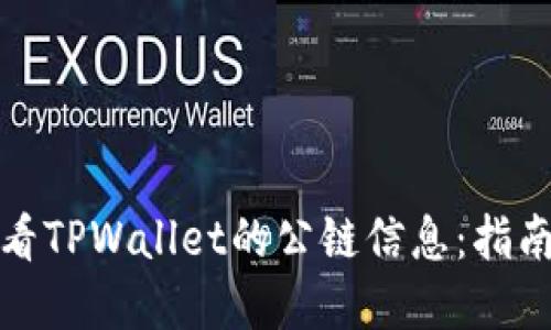 如何查看TPWallet的公链信息：指南与资源
