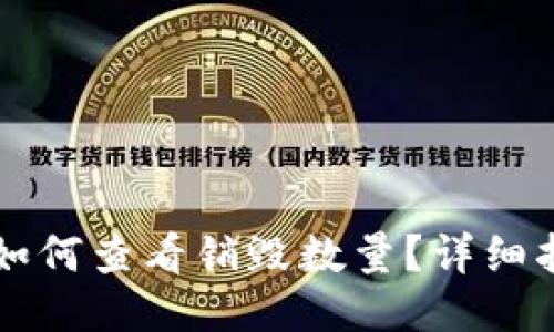 TPWallet如何查看销毁数量?详细指南与技巧