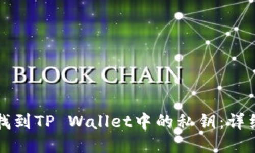 如何找到TP Wallet中的私钥：详细指南