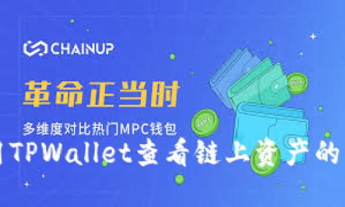 如何使用TPWallet查看链上资产的详细指南