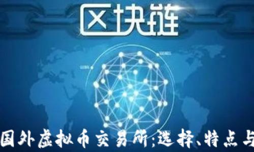 
全面解析国外虚拟币交易所：选择、特点与未来发展