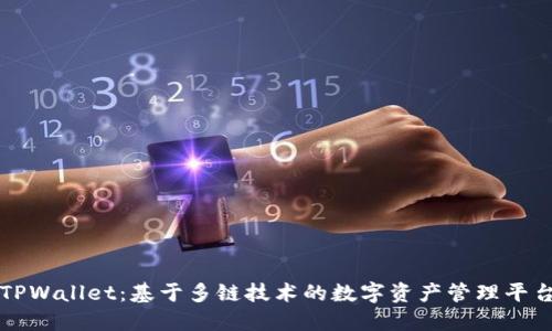 TPWallet：基于多链技术的数字资产管理平台