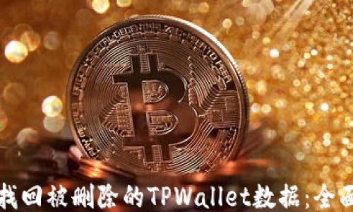 
如何找回被删除的TPWallet数据：全面指南