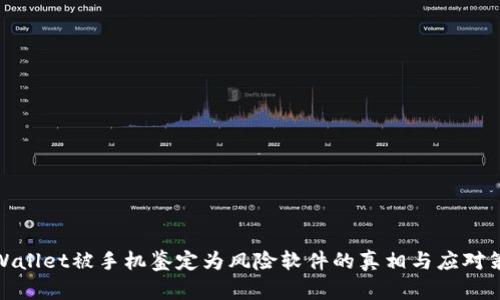 TPWallet被手机鉴定为风险软件的真相与应对策略