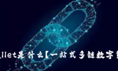 ### TPWallet是什么？一站式多链数字货币钱包解析