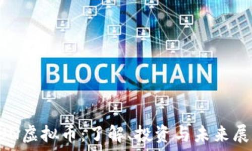   
FUN虚拟币：了解、投资与未来展望