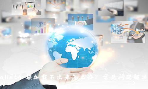 TPWallet余额加载不出来怎么办? 常见问题解决方案