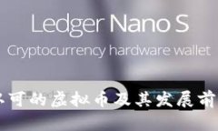 国际认可的虚拟币及其发展前景分析