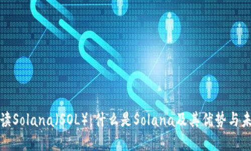全面解读Solana（SOL）：什么是Solana及其优势与未来发展