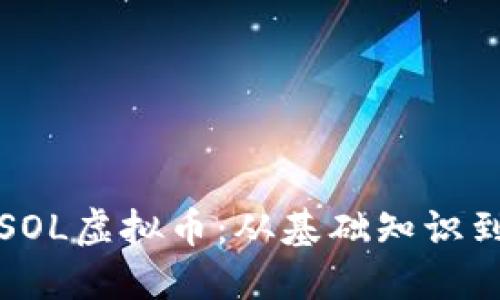 深入探索SOL虚拟币：从基础知识到投资策略