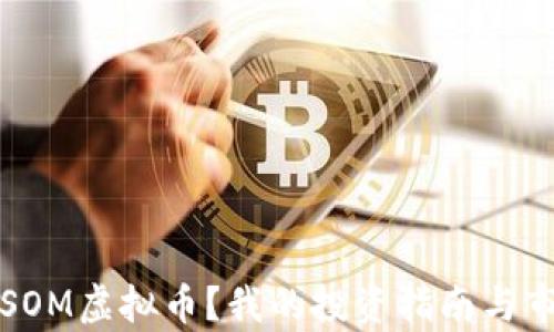 
什么是SOM虚拟币？我的投资指南与市场分析