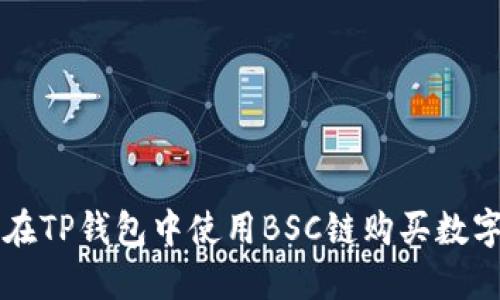 如何在TP钱包中使用BSC链购买数字货币