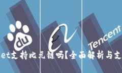 TPWallet支持比元链吗？全面解析与支持情况