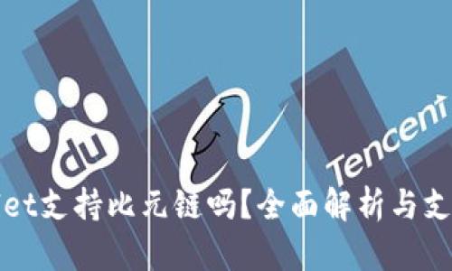 TPWallet支持比元链吗？全面解析与支持情况