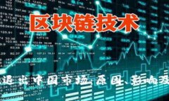 TPWallet退出中国市场：原因、影响及未来展望