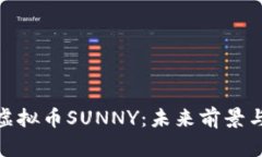 全面解析虚拟币SUNNY：未来前景与投资机会