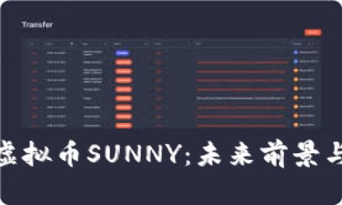全面解析虚拟币SUNNY:未来前景与投资机会