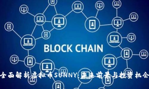 全面解析虚拟币SUNNY：未来前景与投资机会