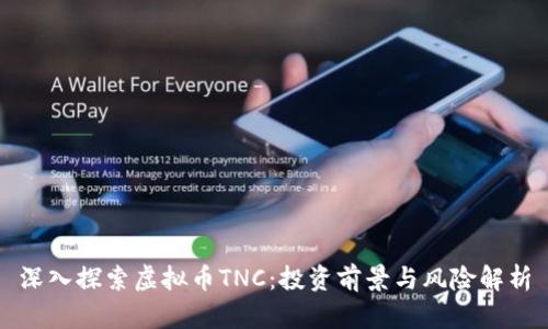 深入探索虚拟币TNC：投资前景与风险解析