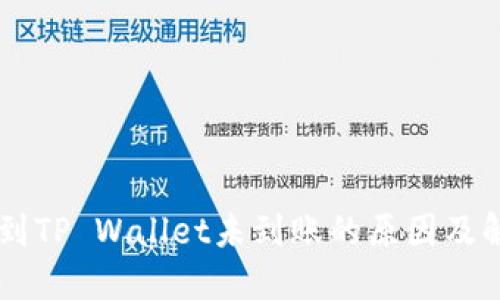 币安转到TP Wallet未到账的原因及解决方法
