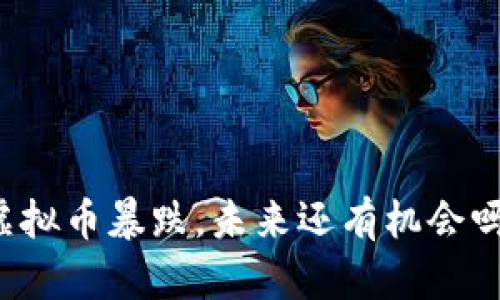 虚拟币暴跌，未来还有机会吗？