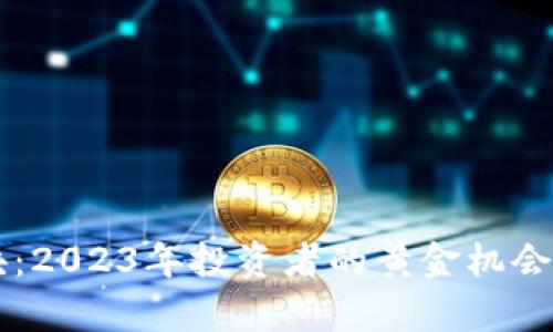 虚拟币爆块:2023年投资者的黄金机会与风险分析