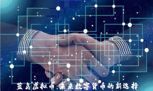 蓝鸟虚拟币:未来数字货币的新选择