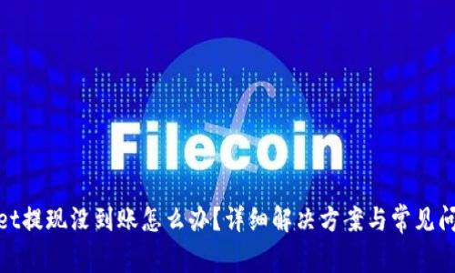 tpwallet提现没到账怎么办？详细解决方案与常见问题解答