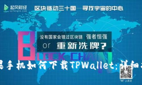 苹果手机如何下载TPWallet：详细指南