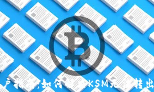 TPWallet用户指南:如何解决KSM无法转出的常见问题