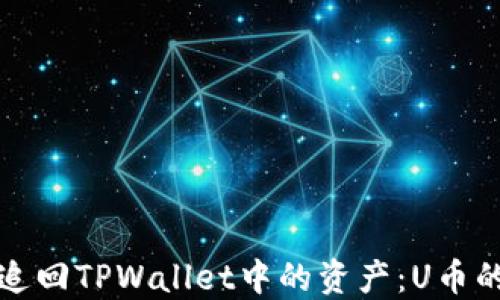 
如何成功追回TPWallet中的资产：U币的追索指南