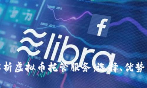 全面解析虚拟币托管服务：选择、优势与风险