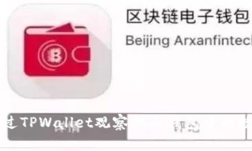 如何通过TPWallet观察他人钱包中的数字货币