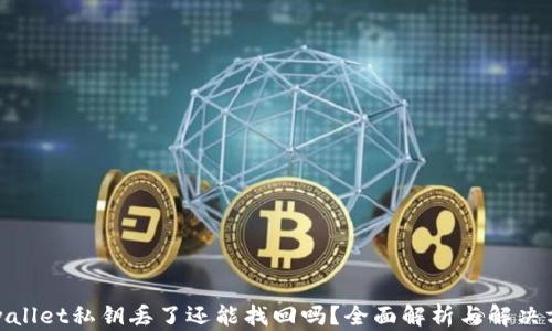 
tpwallet私钥丢了还能找回吗？全面解析与解决方案