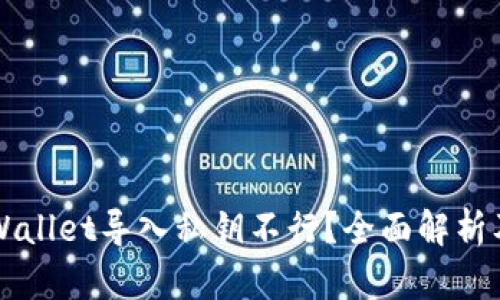 为什么TPWallet导入私钥不行？全面解析及解决方案