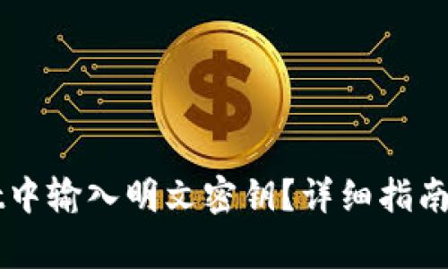 如何在TPWallet中输入明文密钥？详细指南与常见问题解析