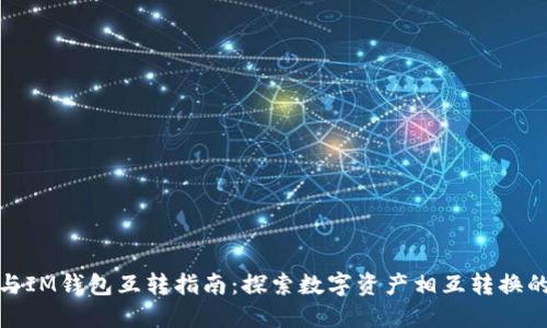 TP钱包与IM钱包互转指南：探索数字资产相互转换的可能性