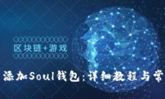 如何在TP里添加Soul钱包：详细教程与常见问题解