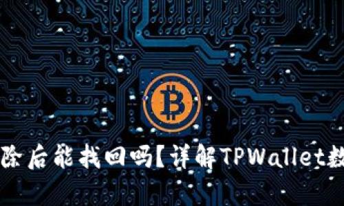TPWallet删除后能找回吗？详解TPWallet数据恢复方案
