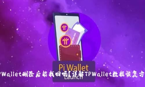 TPWallet删除后能找回吗？详解TPWallet数据恢复方案