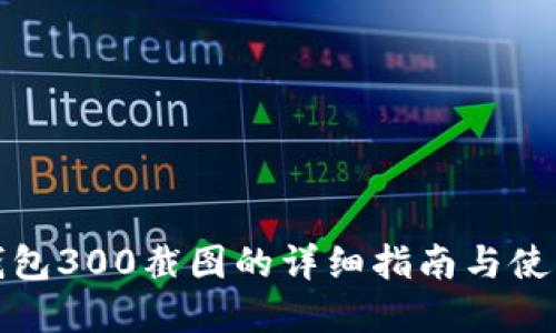 tp冷钱包300截图的详细指南与使用技巧