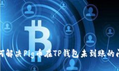 如何解决Pig币在TP钱包未到账的问题