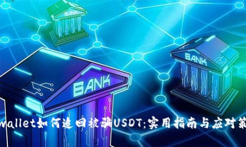 tpwallet如何追回被骗USDT:实用指南与应对策略
