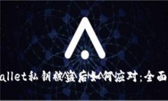 tpwallet私钥被盗后如何应对：全面指南