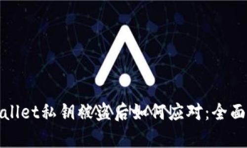 tpwallet私钥被盗后如何应对：全面指南